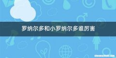 罗纳尔多和小罗纳尔多谁厉害