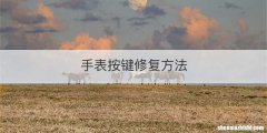 手表按键修复方法