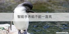 智能手表能不能一直亮