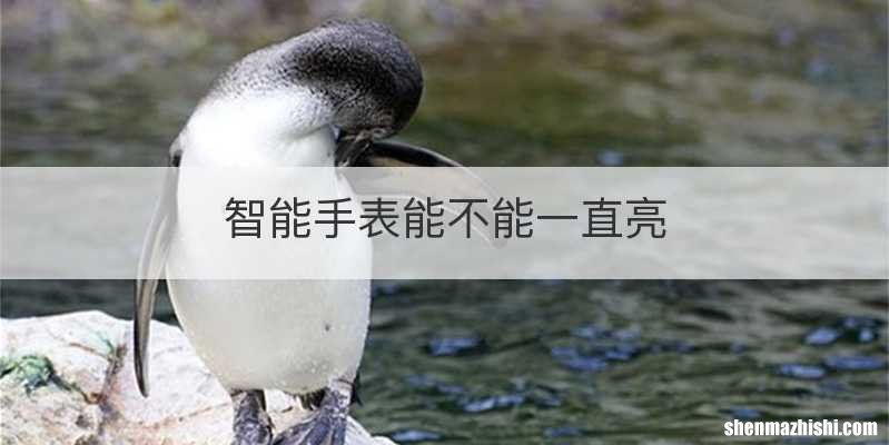 智能手表能不能一直亮