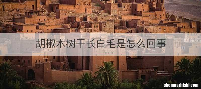 胡椒木树干长白毛是怎么回事