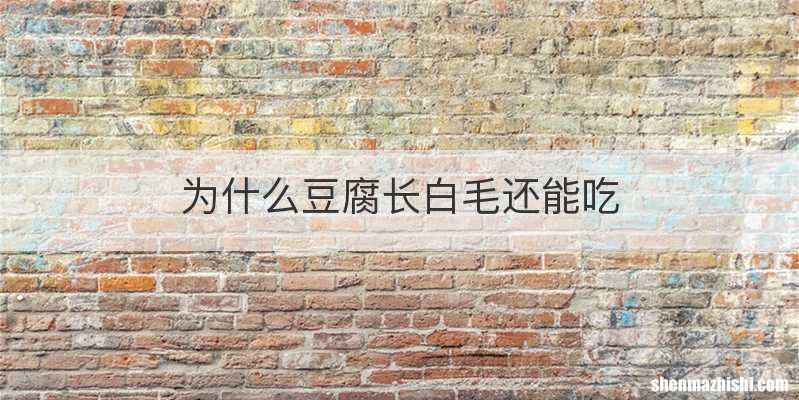 为什么豆腐长白毛还能吃