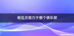 帕瓦尔效力于哪个俱乐部