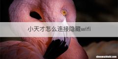 小天才怎么连接隐藏wifi