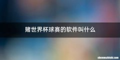赌世界杯球赛的软件叫什么