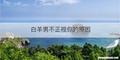 白羊男不正视你的原因