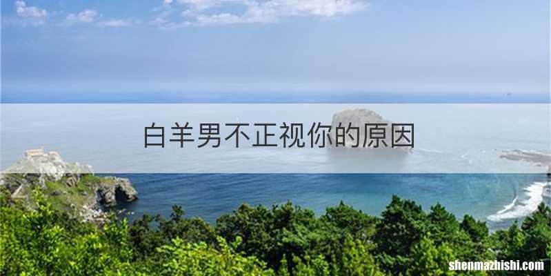 白羊男不正视你的原因