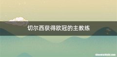 切尔西获得欧冠的主教练