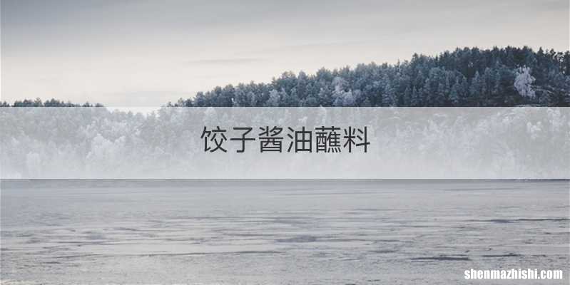饺子酱油蘸料