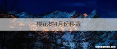 樱花树4月份移栽