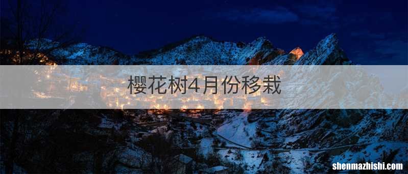 樱花树4月份移栽