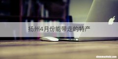 扬州4月份能带走的特产