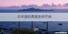 白羊座的男朋友帅不帅