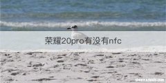 荣耀20pro有没有nfc