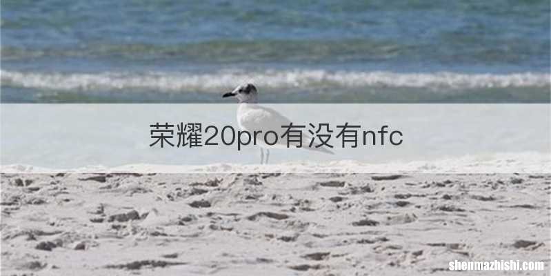 荣耀20pro有没有nfc