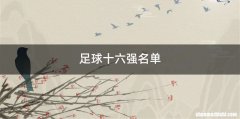 足球十六强名单