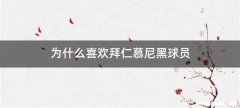为什么喜欢拜仁慕尼黑球员