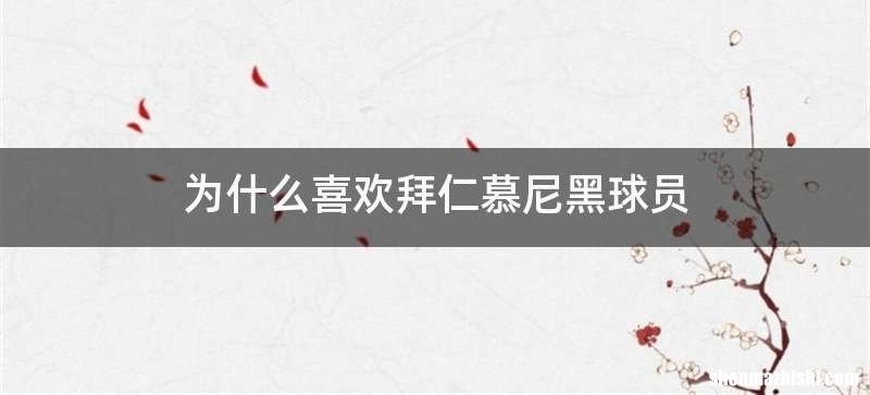 为什么喜欢拜仁慕尼黑球员