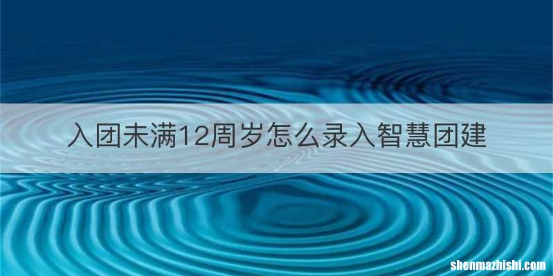 入团未满12周岁怎么录入智慧团建