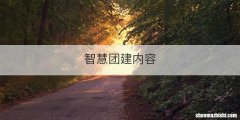 智慧团建内容