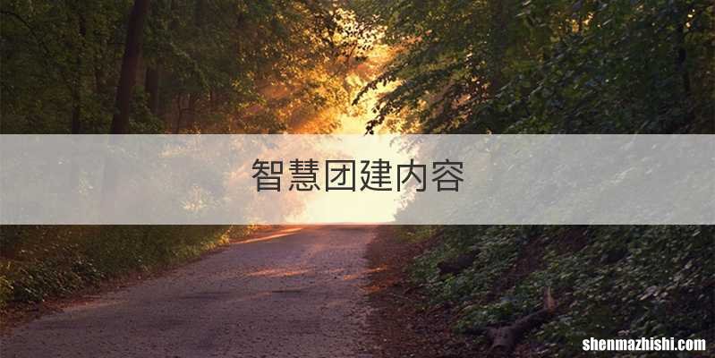 智慧团建内容