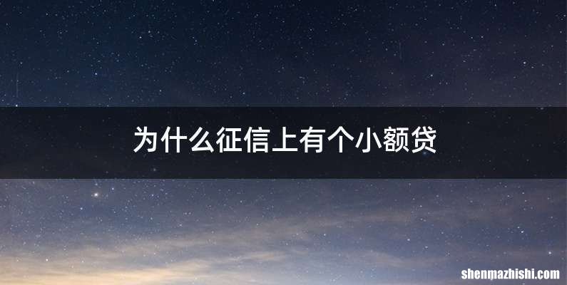 为什么征信上有个小额贷