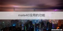 mate40没用的功能