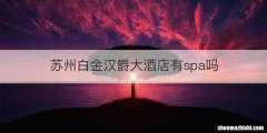 苏州白金汉爵大酒店有spa吗