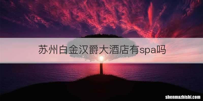 苏州白金汉爵大酒店有spa吗