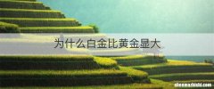 为什么白金比黄金显大