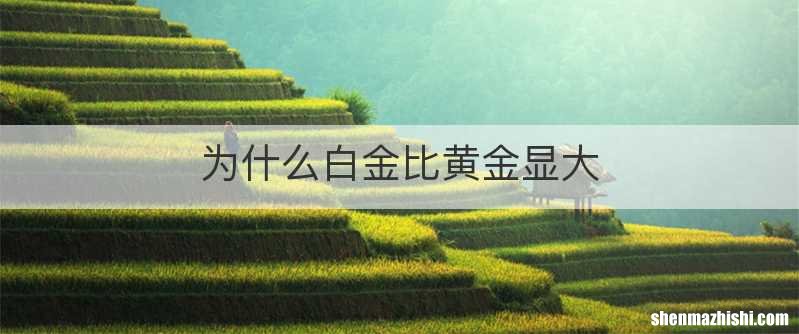为什么白金比黄金显大