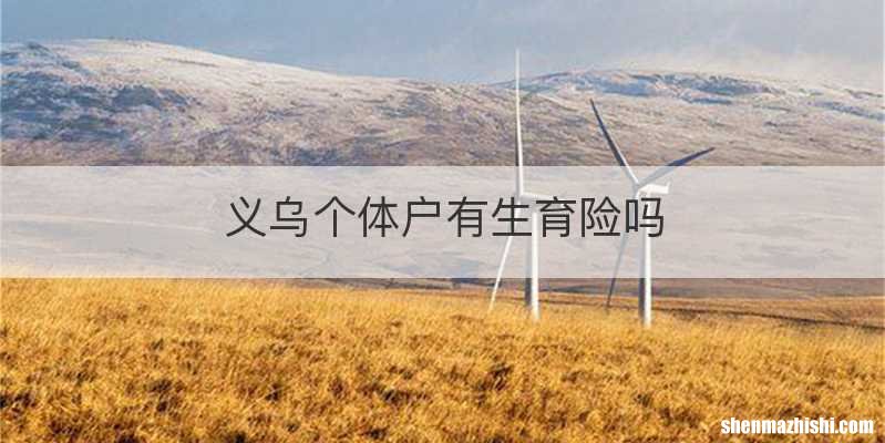 义乌个体户有生育险吗