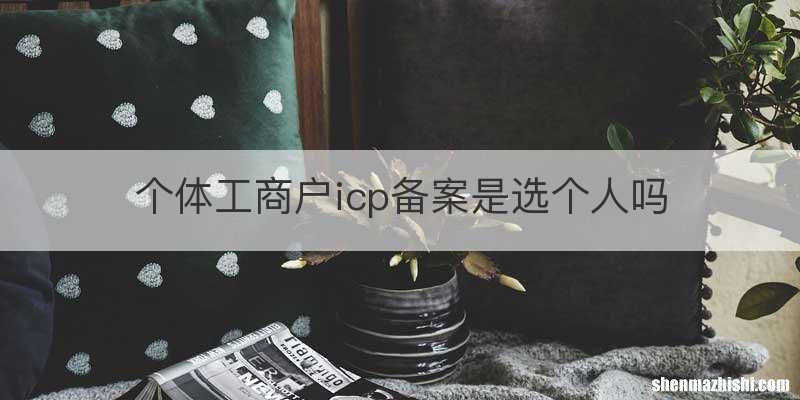 个体工商户icp备案是选个人吗