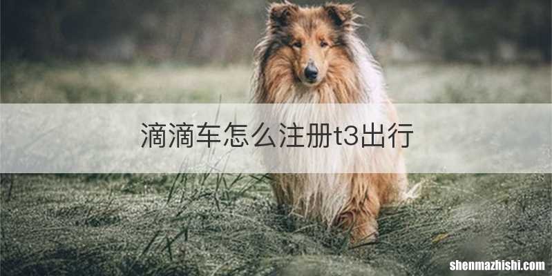 滴滴车怎么注册t3出行