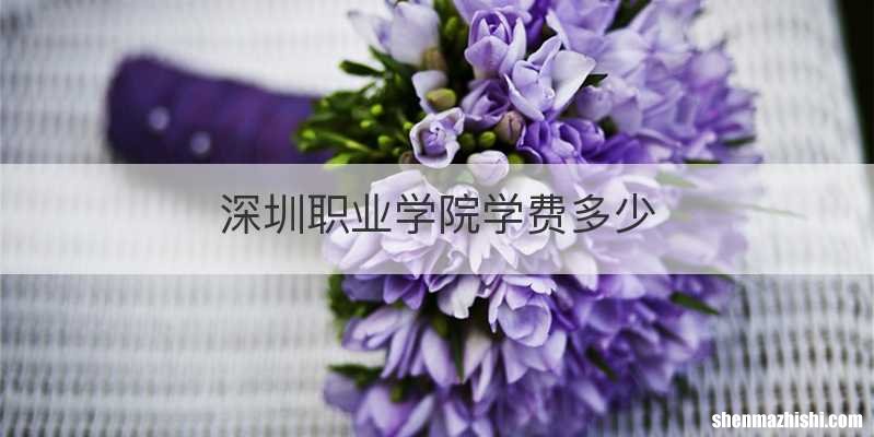 深圳职业学院学费多少