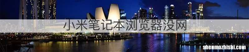 小米笔记本浏览器没网