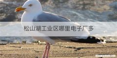 松山湖工业区哪里电子厂多