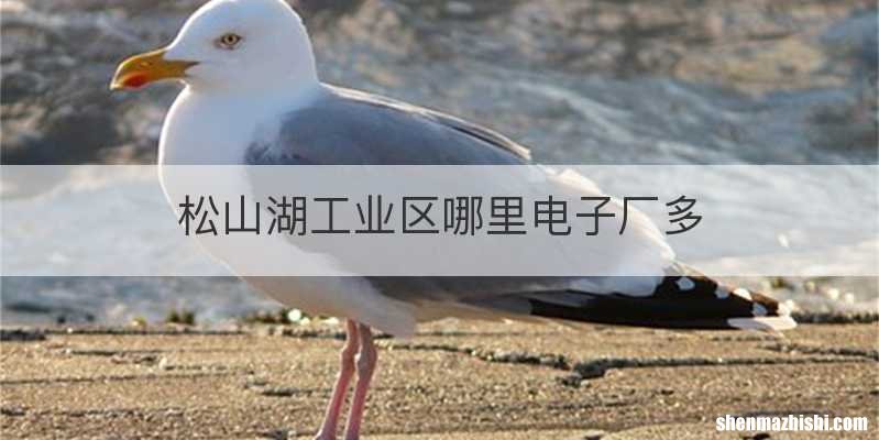 松山湖工业区哪里电子厂多