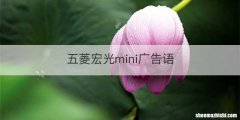 五菱宏光mini广告语