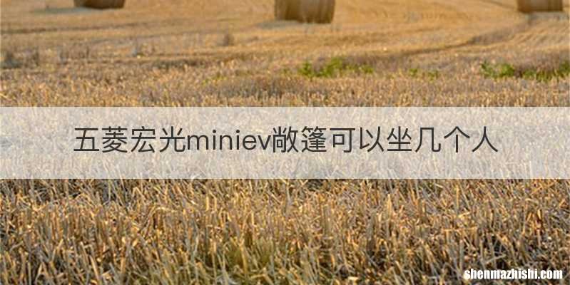 五菱宏光miniev敞篷可以坐几个人