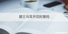 建兰马耳开花时香吗
