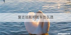 复古巡航和街车怎么选