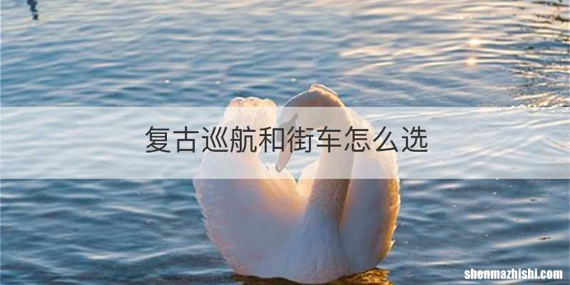 复古巡航和街车怎么选