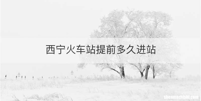 西宁火车站提前多久进站