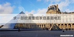 求一部欧美重组家庭喜剧电影