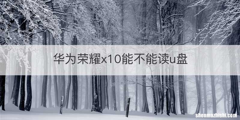 华为荣耀x10能不能读u盘