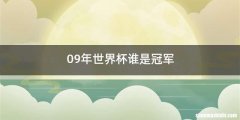 09年世界杯谁是冠军
