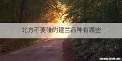 北方不要碰的建兰品种有哪些
