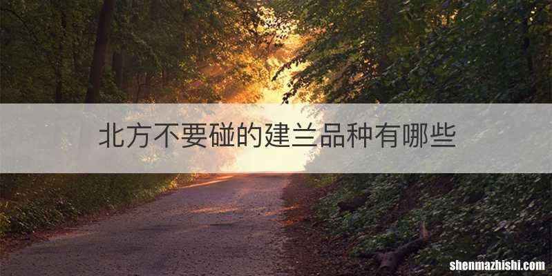 北方不要碰的建兰品种有哪些