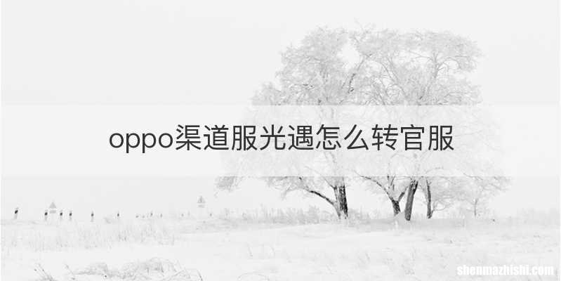 oppo渠道服光遇怎么转官服
